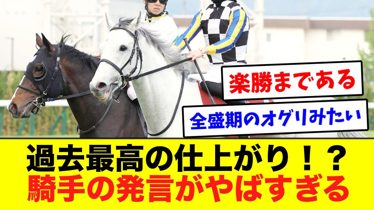 ガイアフォースが初ブリンカー着用で騎手がまさかのコメント！に対する視聴者のリアルな反応集【競馬】