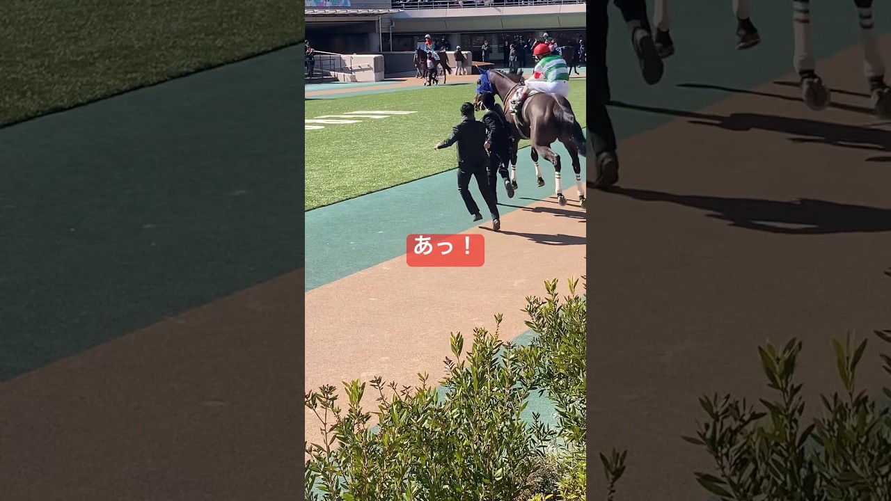 【ルメール騎手にアクシデント!!】 #競馬 #東京競馬場 #ルメール