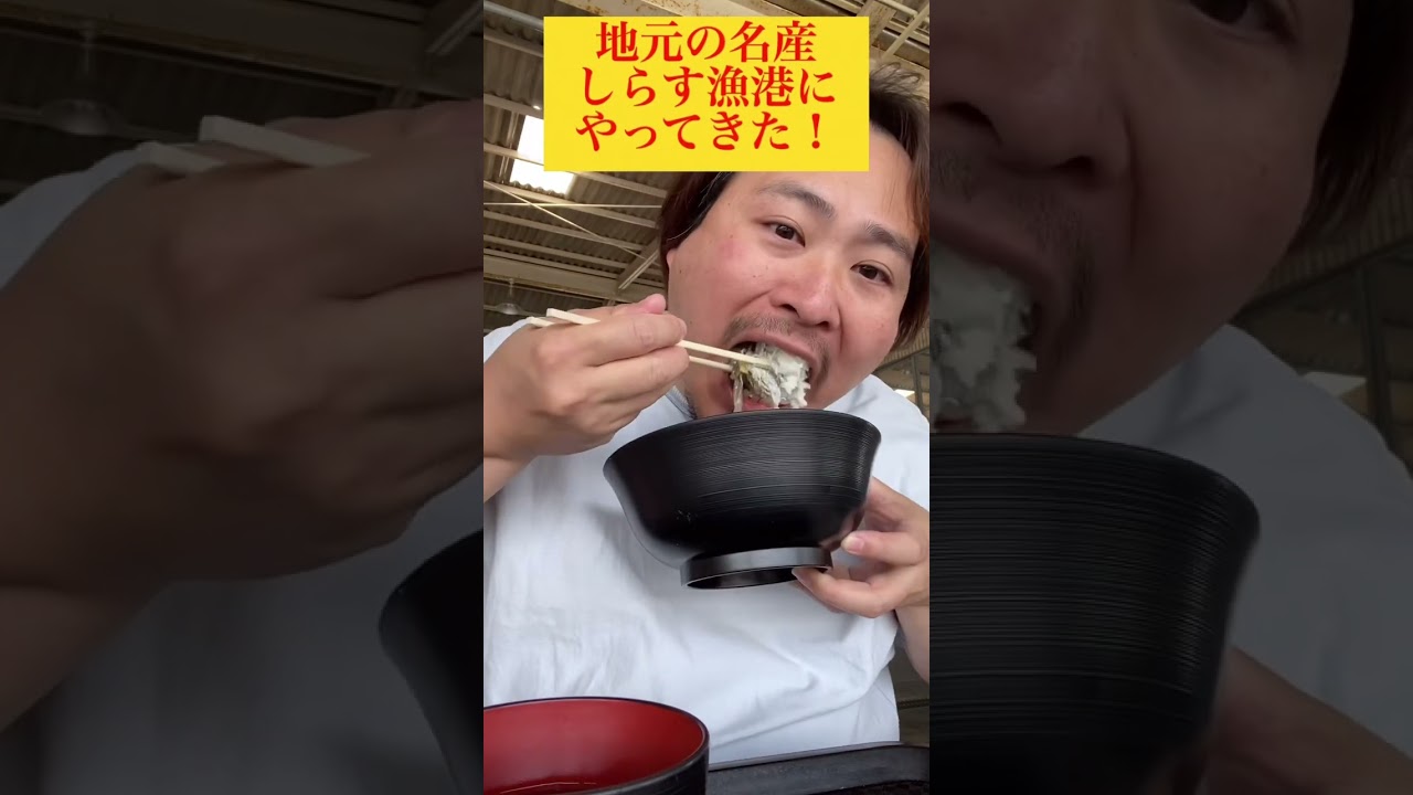 【しらす漁港】しらす漁港のしらす丼はめちゃくちゃ美味い！#しらす#漁港食#食堂#生しらす #グルメ #asmr #大盛り #food #japanesefood