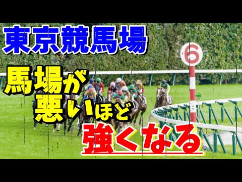 【競馬検証】馬場が悪いほど強くなる枠が判明！【東京競馬場】