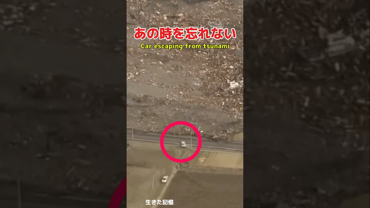 津波から逃げる車  Car escaping from tsunami