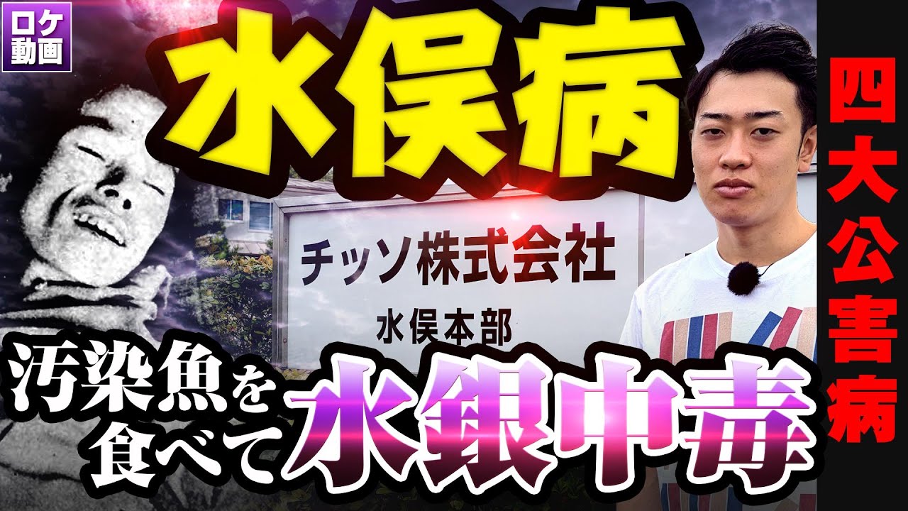【水俣病】汚染魚を食べて水銀中毒に…闇深い国の対応まで現地からわかりやすく解説