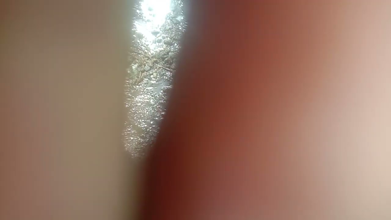 १० फेब्रुवारी, २०२३