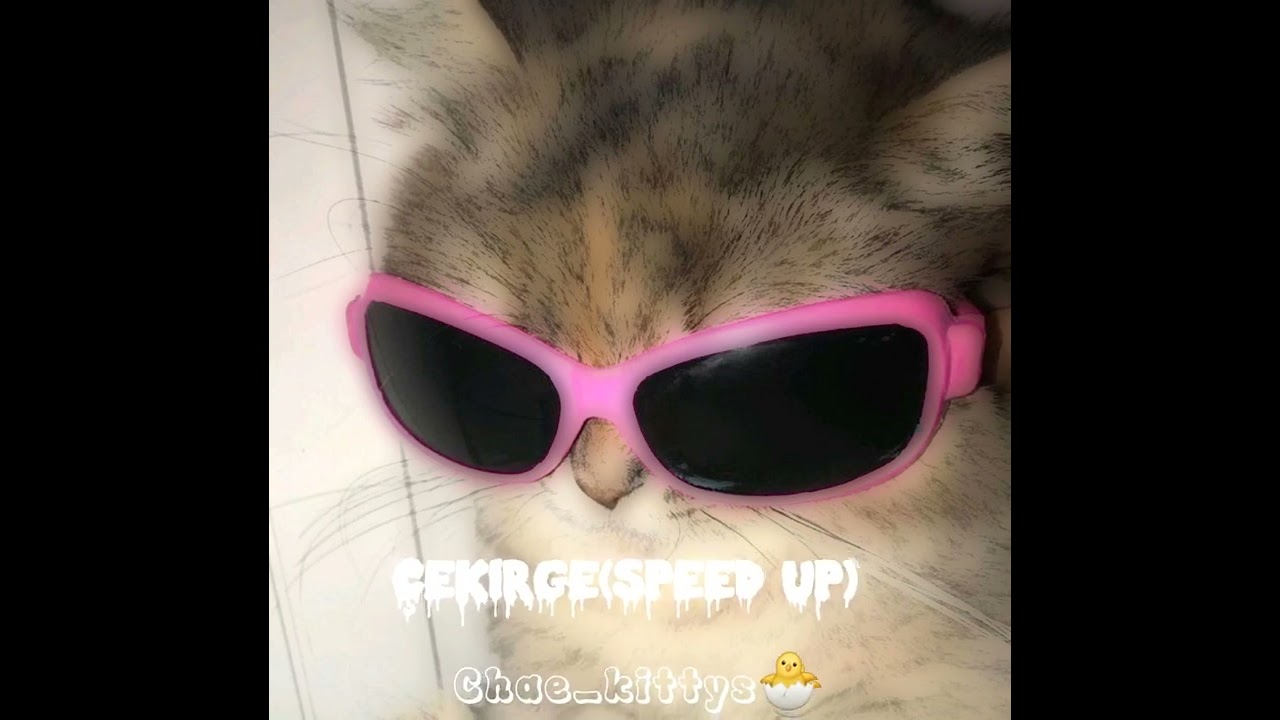 𝑪̧𝒆𝒌𝒊𝒓𝒈𝒆(𝒔𝒑𝒆𝒆𝒅 𝒖𝒑) #çekirge