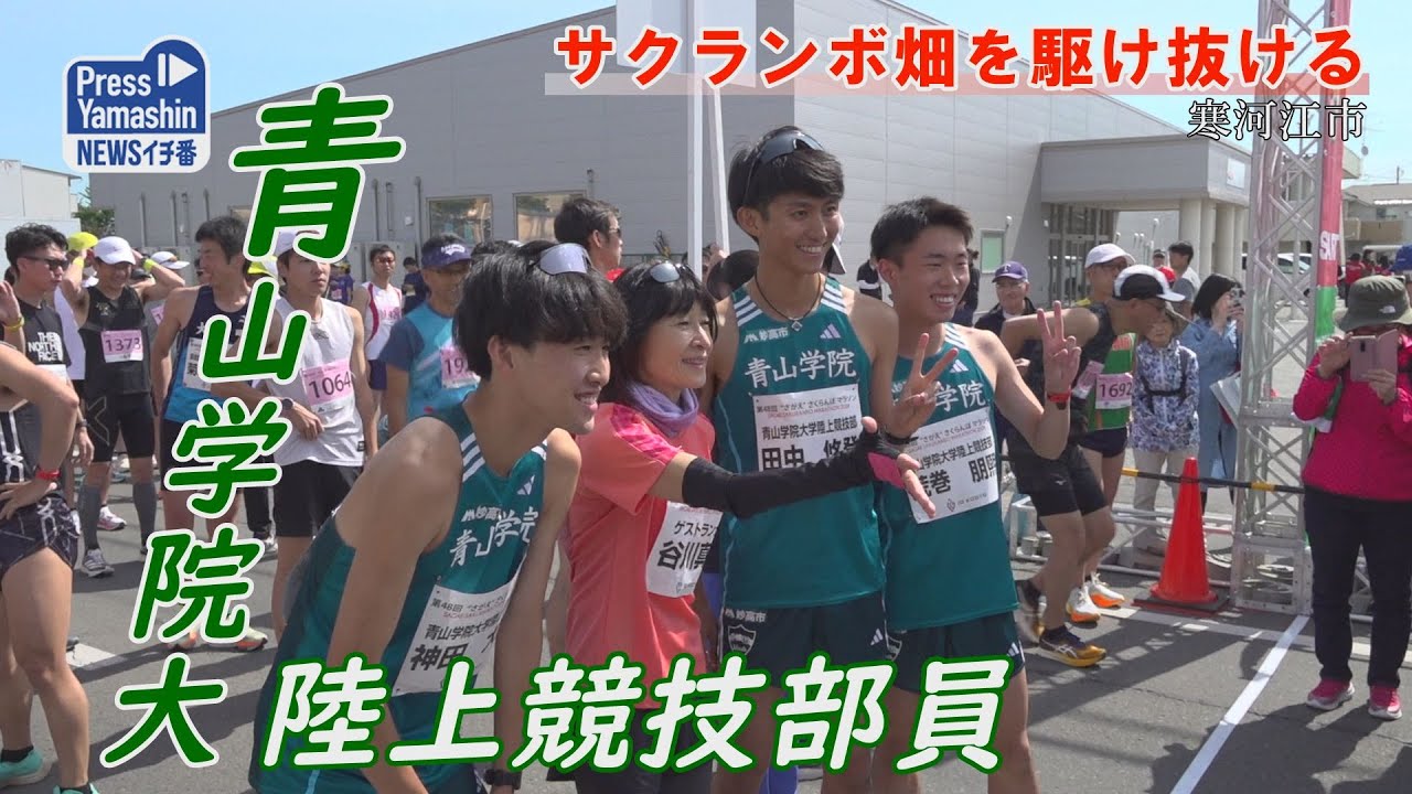 サクランボ畑を駆け抜ける さがえさくらんぼマラソン　山形県寒河江市