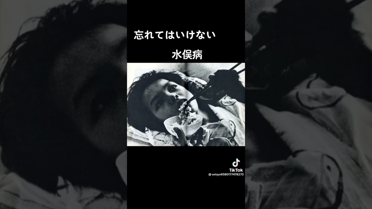 絶対忘れないてはいけない【水俣病】