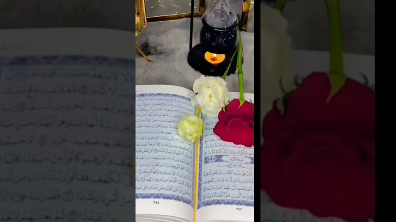 ١٦ سبتمبر ٢٠٢٢
