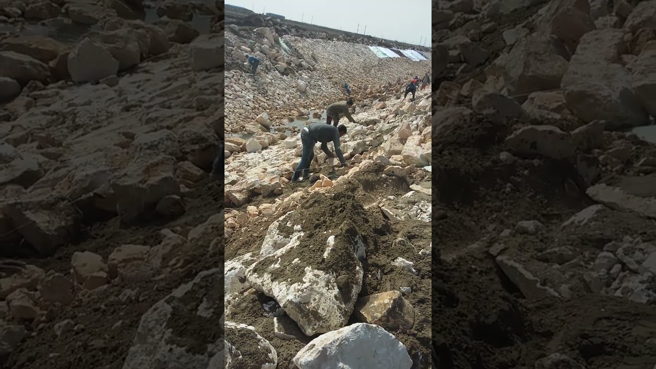 روتيني اليومي ساخن من هو الرجل الذي تحبه كل النساء