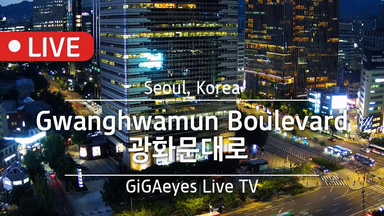 서울실시간 광화문대로 Live Cam I 