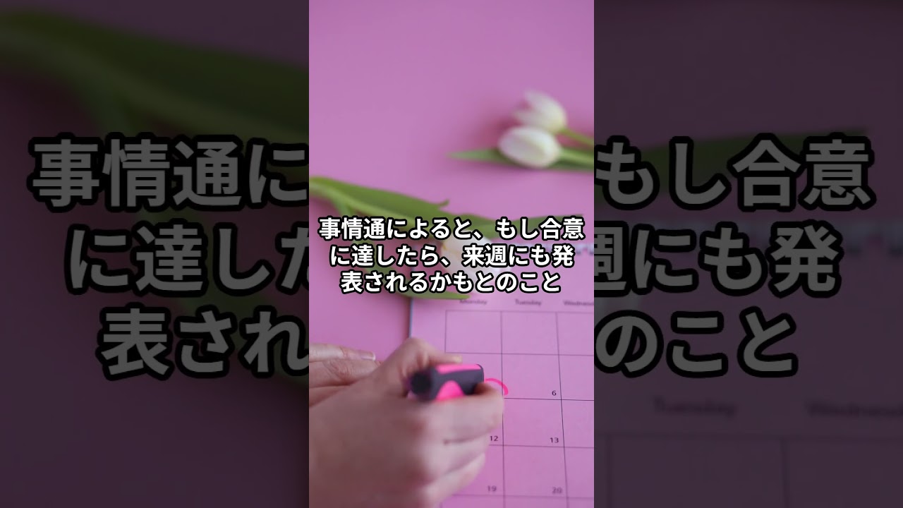 セールスフォースが再挑戦！インフォマティカ買収の行方