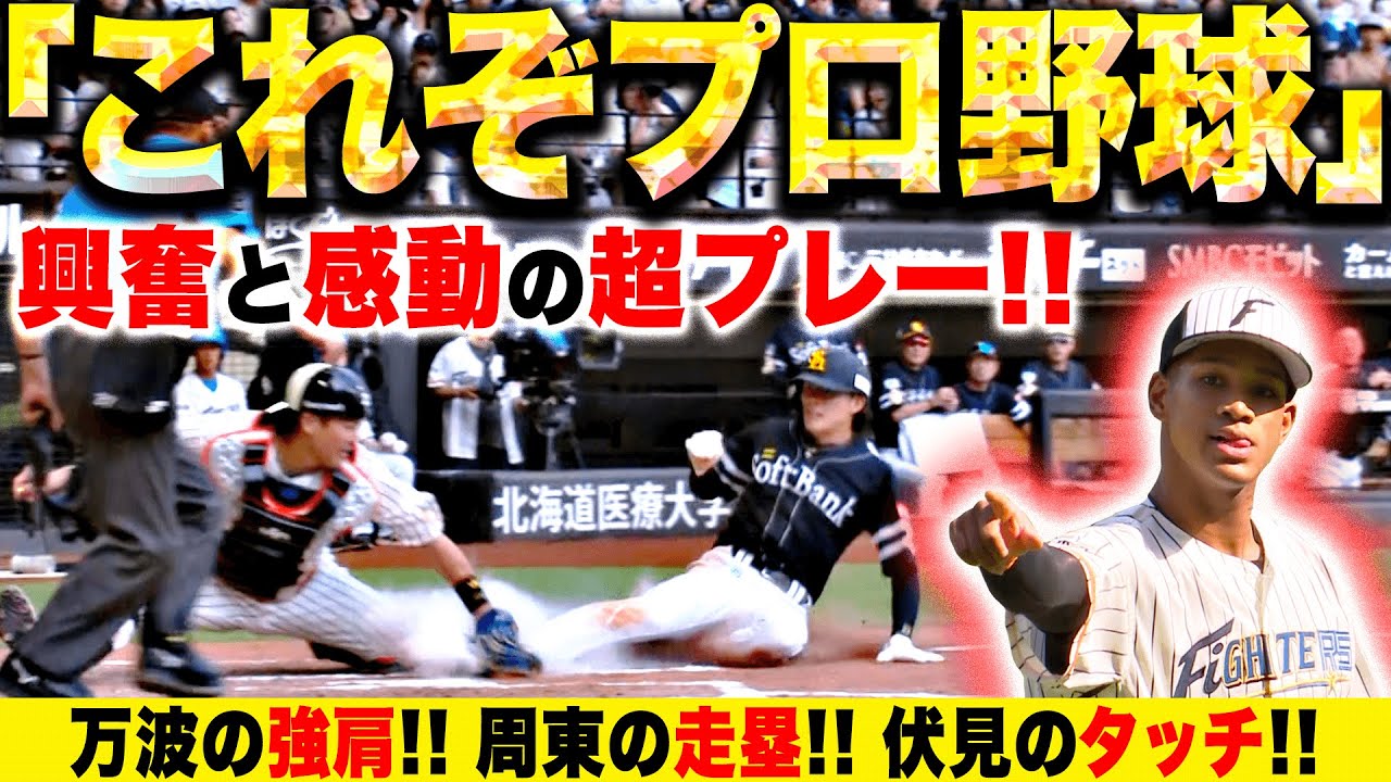 【これぞ！】プロ野球の“最高”が凝縮『万波の強肩・周東の走塁・伏見のタッチ』【全てを魅了】