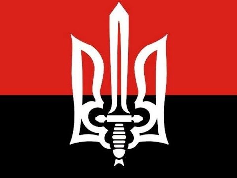 Документальний фільм «Правий сектор»