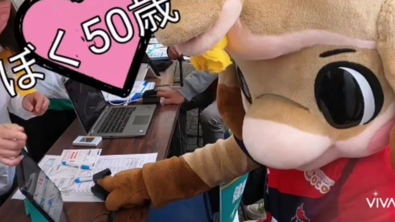 ハーマー＆ドリー 血管年齢は⁉️