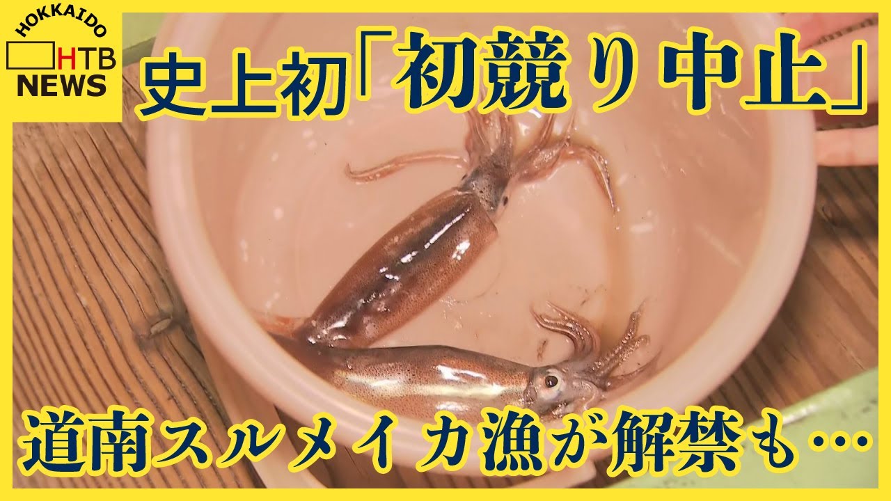 漁師も悲鳴「もう廃業だ」スルメイカ漁解禁も　とれたのは数匹　初競りも中止の史上初の異例の不漁　函館市