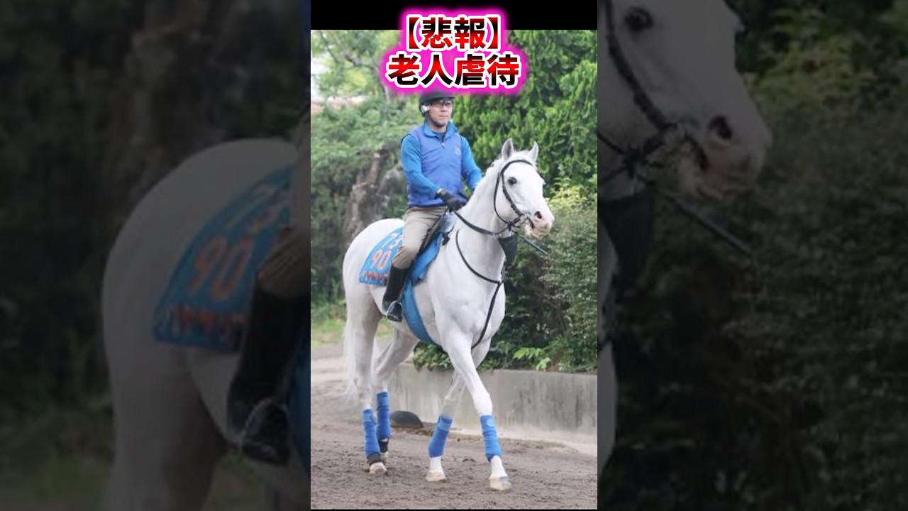 【悲報】老人虐待【競馬反応集】 #ハヤヤッコ #目黒記念