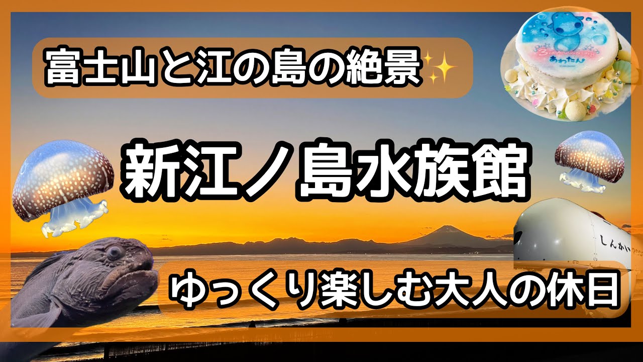 【新江ノ島水族館】大人がひとりで楽しむ絶景水族館🐠✨