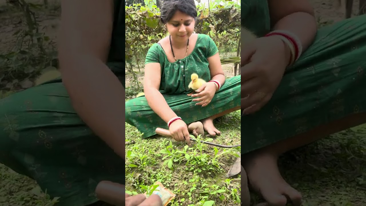 জমিতে নতুন বৌ কাজ করতে এসে হ্যাশ চরানো
