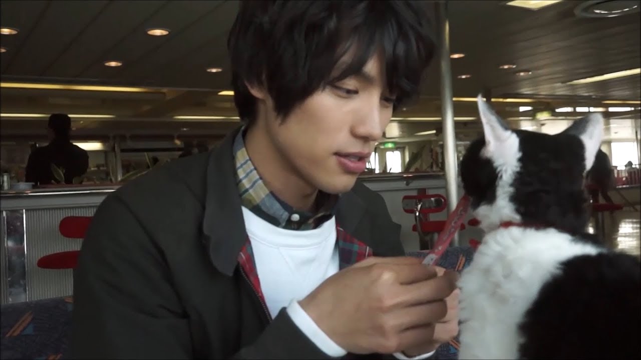 福士蒼汰、メロメロ過ぎて猫語で会話!?「にゃー」　映画『旅猫リポート』メイキング映像公開