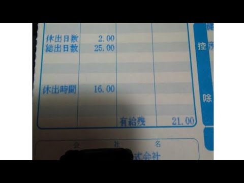 給与明細 沢井製薬の特大の予測給料