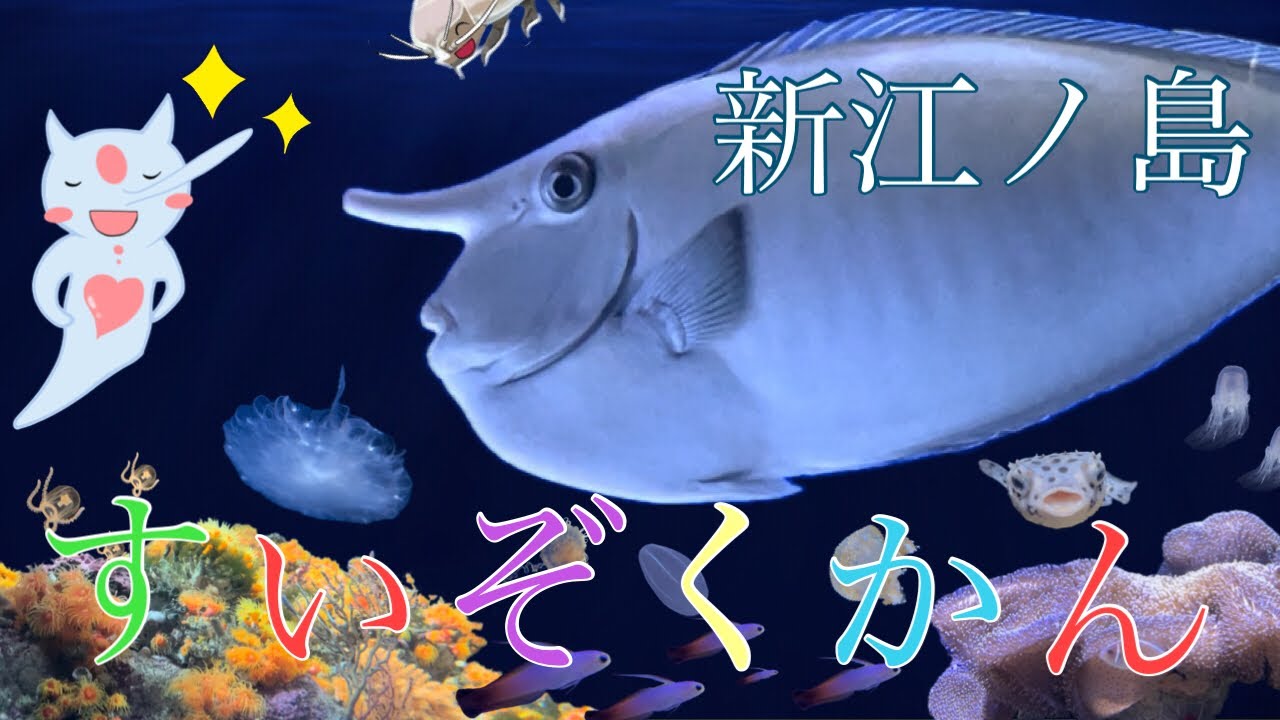 新江ノ島水族館