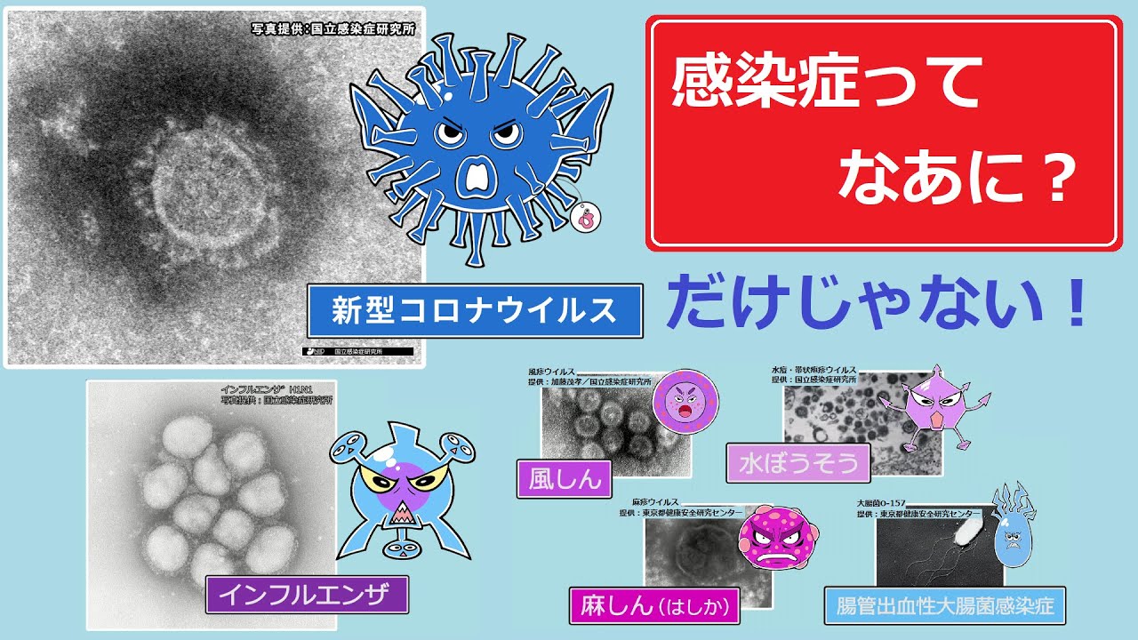 【新型コロナだけじゃない！】感染症ってなあに？「知ってアクション！感染症の予防＃４その１」