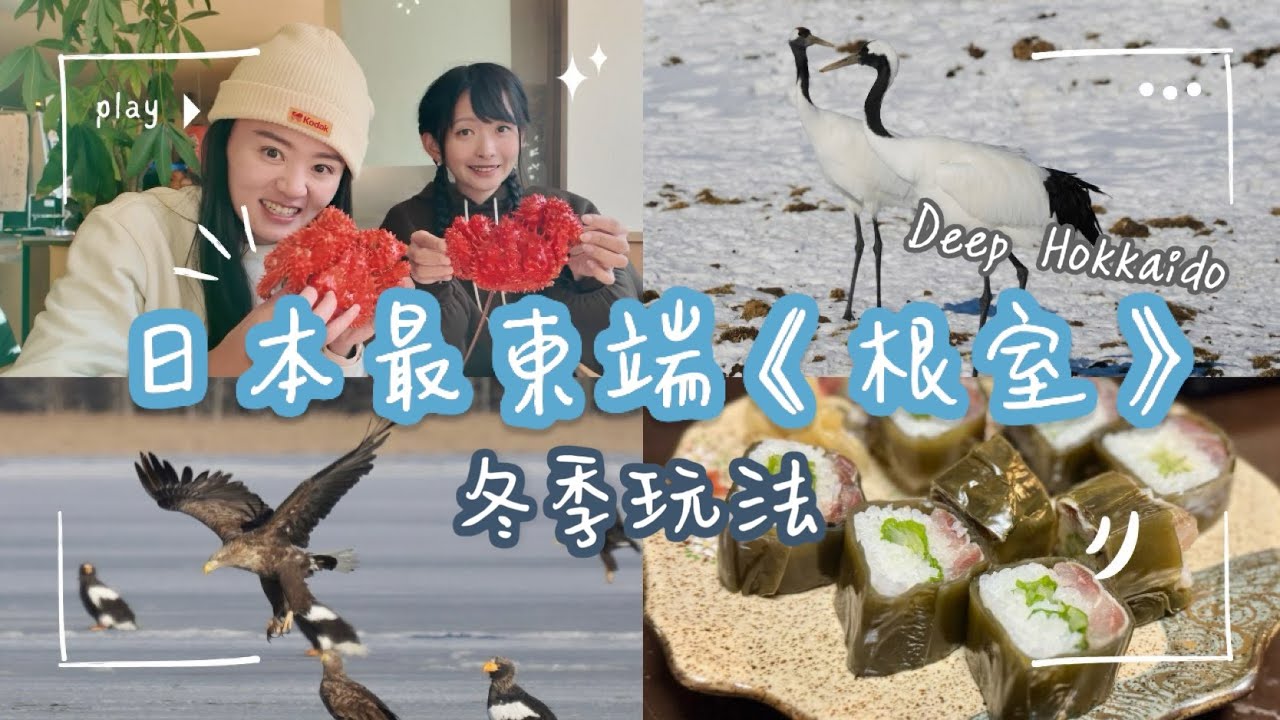 根室｜日本最東端：超乎你印象中的北海道之旅＿丹頂鶴、虎頭海鵰、白尾海鵰、嚮導的秘密森林、納沙布岬、花咲蟹、北之勝日本酒、花咲線