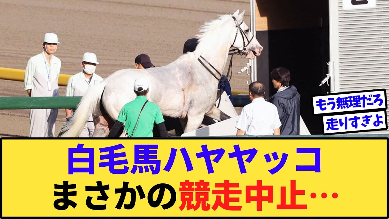 【悲報】白毛馬ハヤヤッコさん、故障してヤバそう…