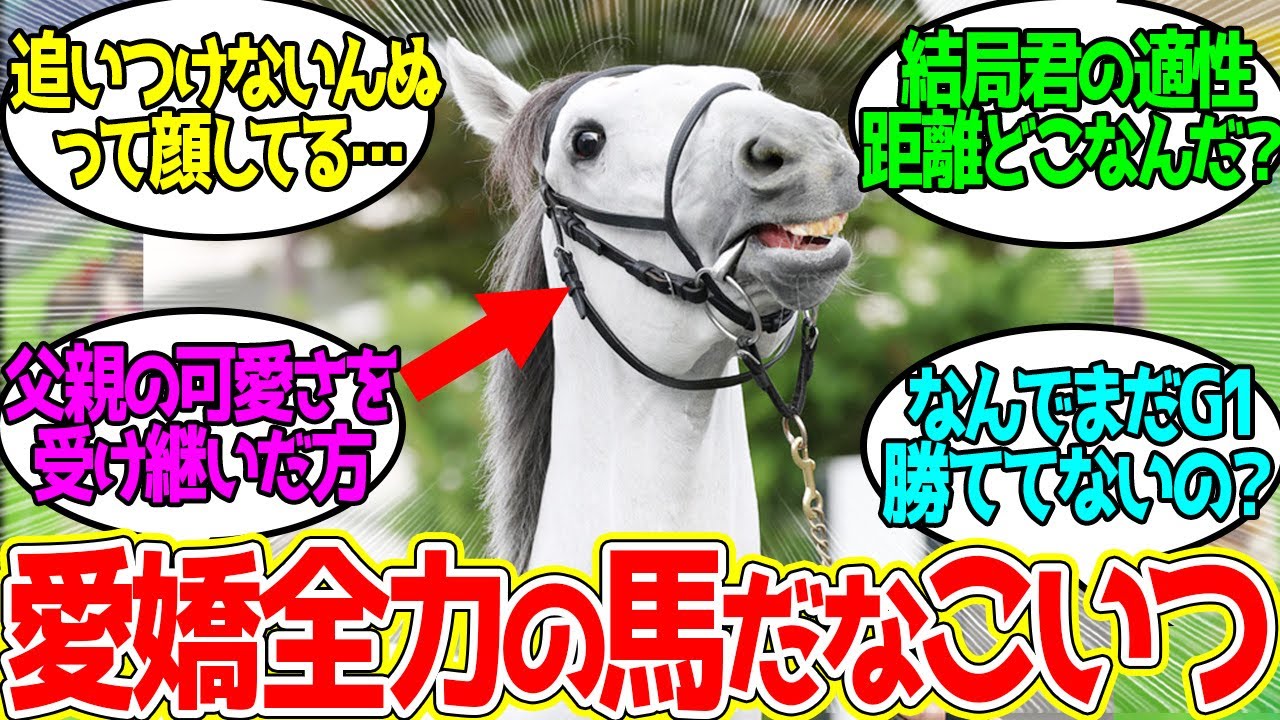 ガイアフォース ← 可愛さならお前がナンバーワンだぞ！に対するみんなの反応！【競馬 の反応集】