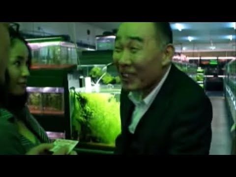 映画『冷たい熱帯魚』予告編