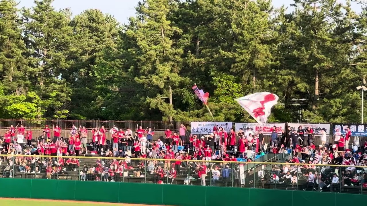 【金沢主催】広島東洋 試合前1-9 2025/05/28 巨人戦 カープ