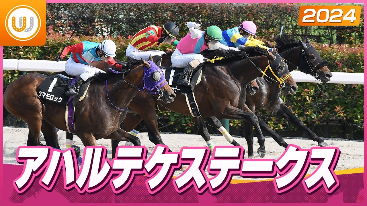 【レース映像】アハルテケステークス｜ビヨンドザファザー｜ウイニング競馬 2024