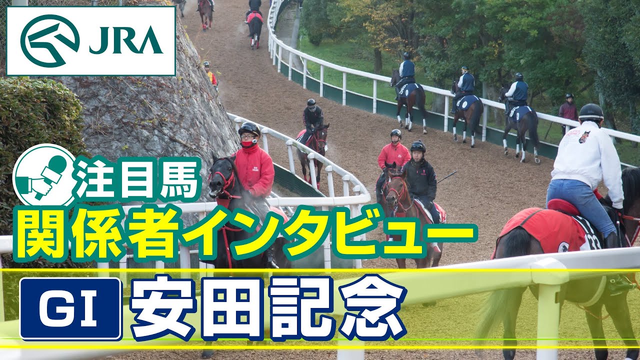 【注目馬 関係者インタビュー】2025年 安田記念｜JRA公式