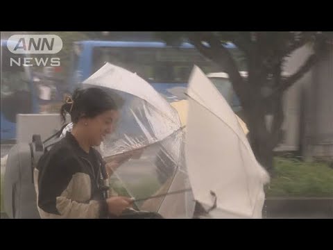 沖縄・奄美 今年一番の大雨　あすは関東でも激しい雨に(2025年5月29日)