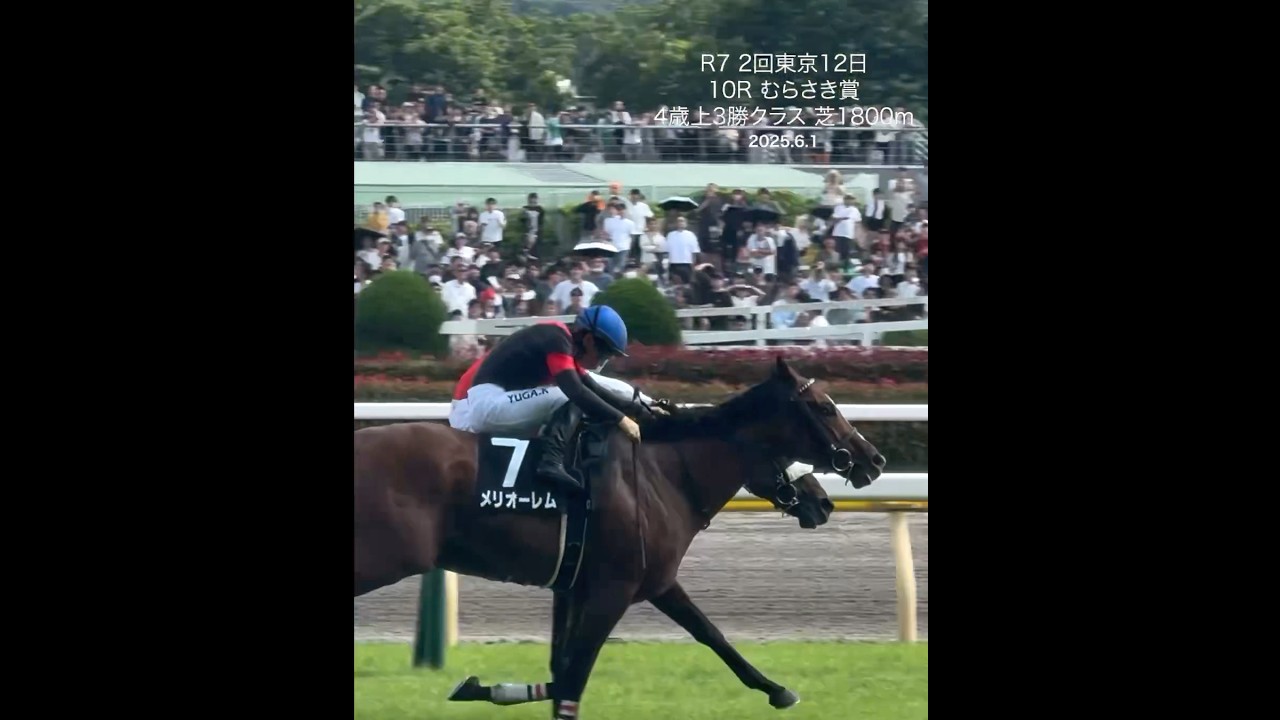 川田将雅騎手 43勝目 ダービー当日10R むらさき賞 シュヴァルグラン産駒 メリオーレム 4歳上3勝クラス 芝1800m