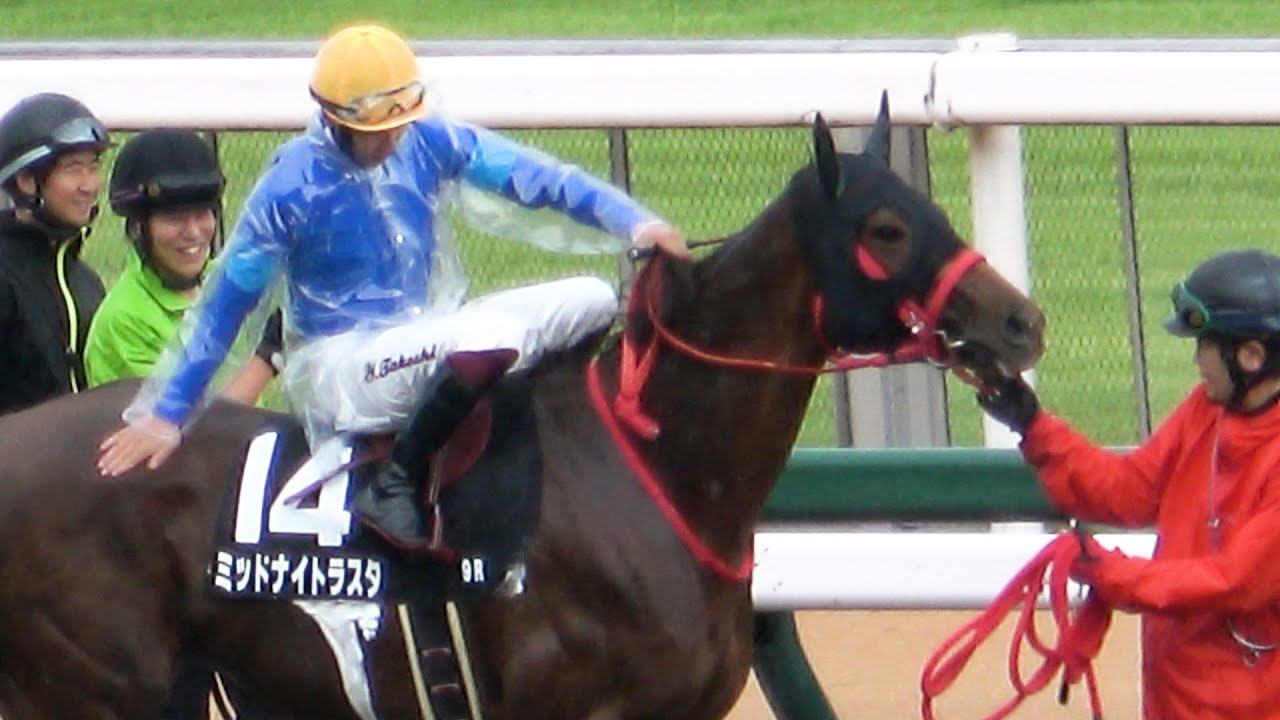 【競馬ハプニング】雷雨で東京 第9R 富嶽賞が中止‼  ⑭ミッドナイトラスタは馬場入りを渋っていたのはこれを予知していた⁉ 現地映像