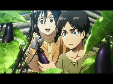 [ AMV ] Shingeki no Kyojin: Lost Girls OVA 3 Eren & Mikasa - Destiny