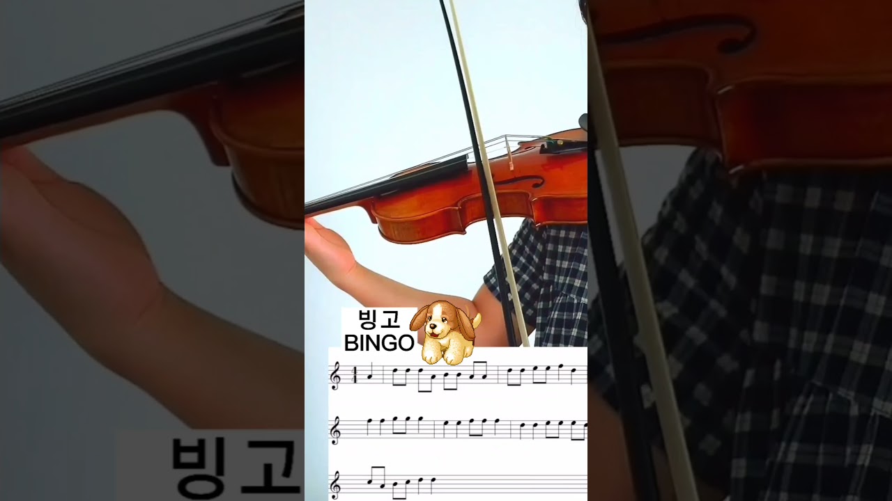 빙고 BINGO 바이올린 악보 연주