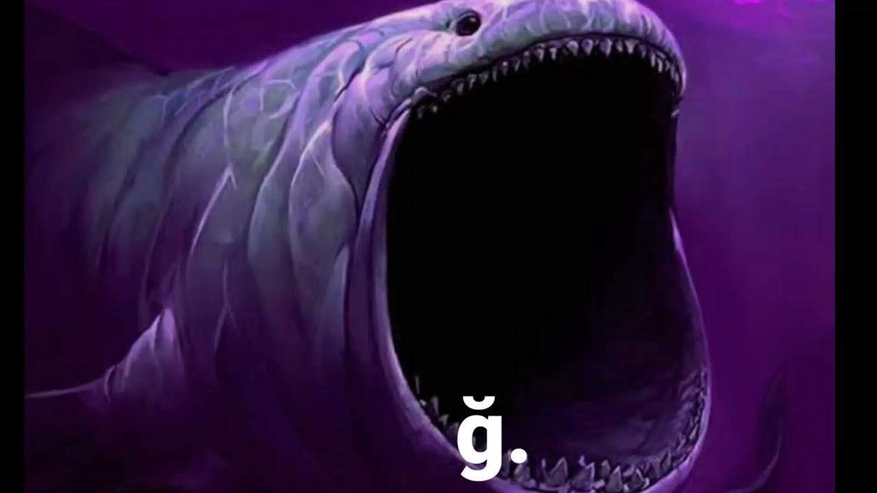 Ğ Diyen balina!!!!!!