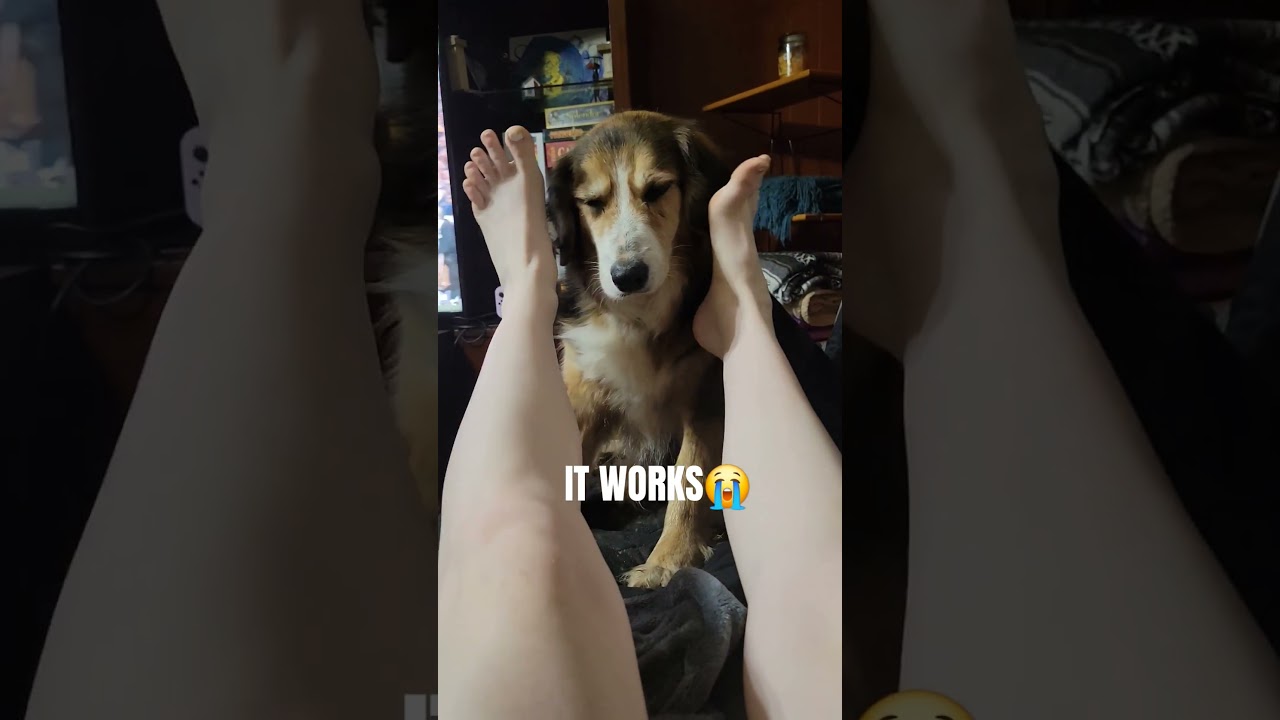 😭😭😭😭😭 #feet #dog #like #shakira