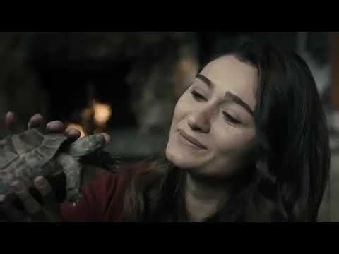 Üç Harfliler Beddua Güzel  Kalitede İzle