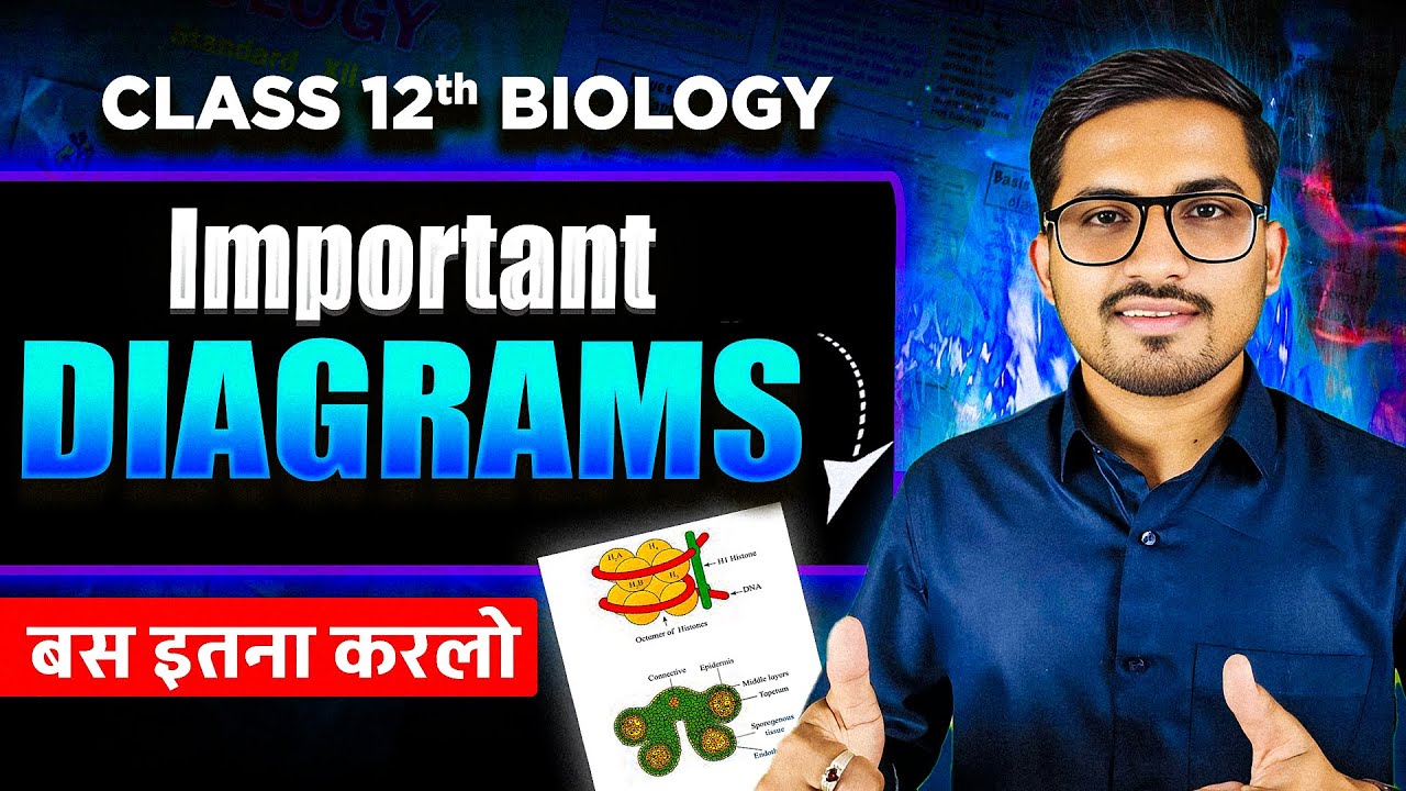 🛑 Important diagrams of biology class 12 | class 12th biology important diagrams 2025