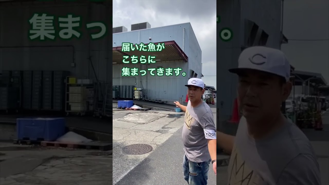 【現場紹介 in大田市場】生鮮食品ピッキングのお仕事 #仕事紹介 #市場 #夜勤 #ピッキング #採用 #アルバイト