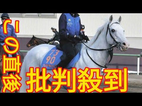 白毛一族のアイドルホース、ハヤヤッコが競走中止　椎本助手「ひとまず命の心配はありません」【目黒記念】 King Japanese