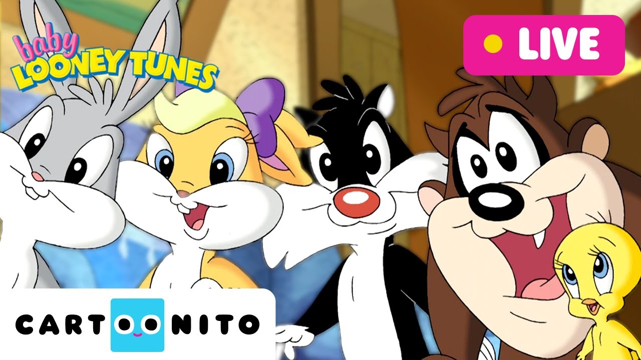 🔴 LIVE: BABY LOONEY TUNES | 24 Hours Compilation | Cartoonito | Cartoons For Kids