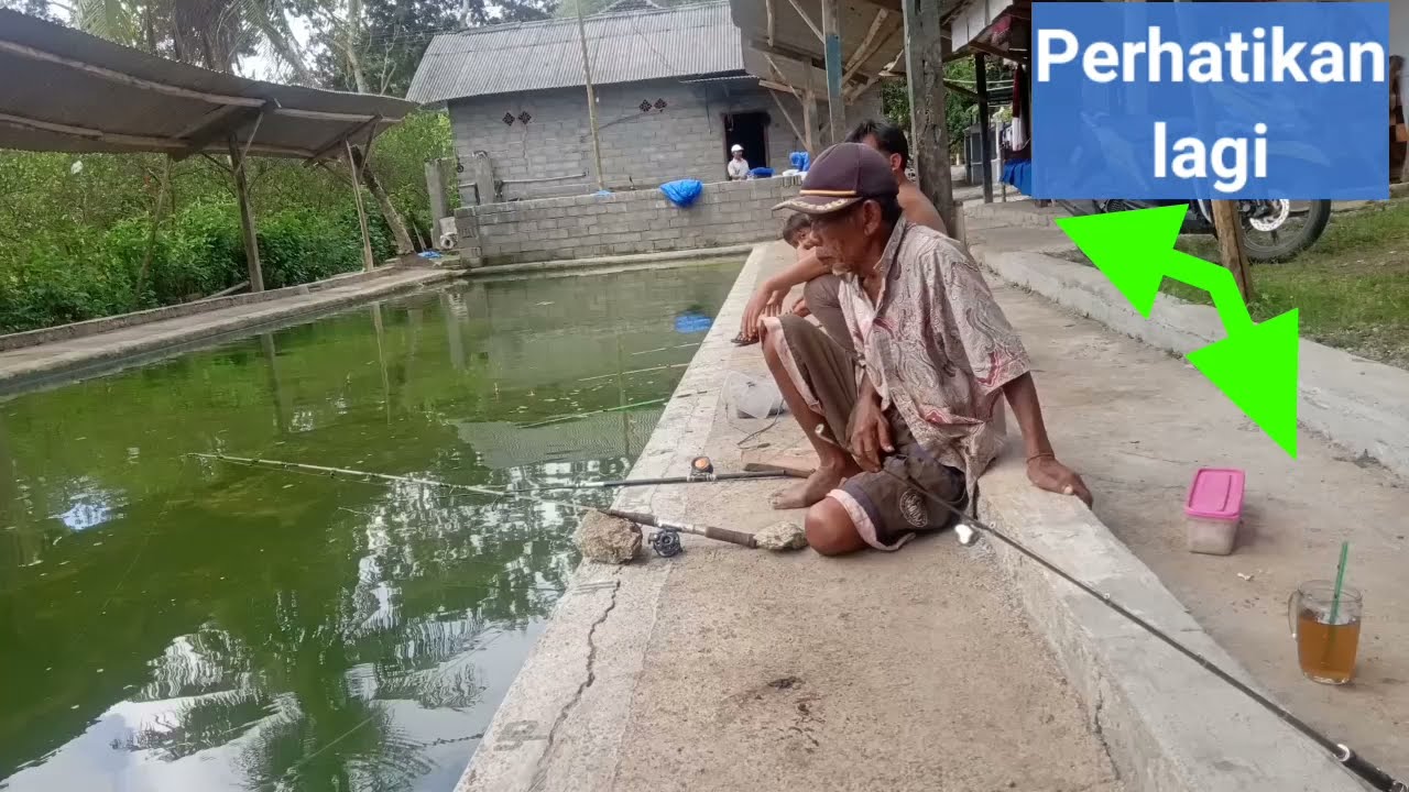 🐟 MANCING DIKOLAM KAKEK