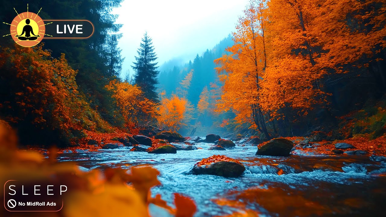 🔴 Relaxing Music 24/7, Meditation Music, Calm Music, Healing Music, Yoga, Sleep, Study Music, Zen