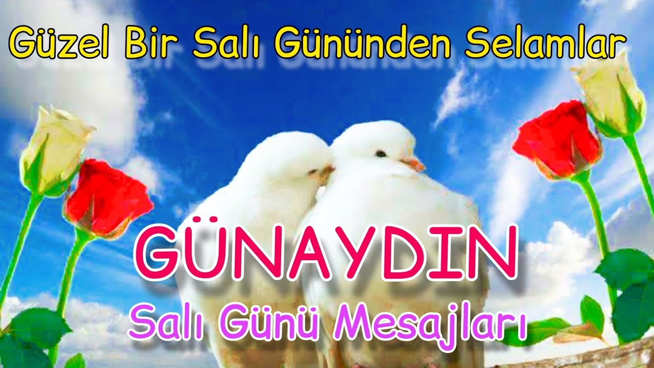 🧿 SALI GÜNÜ 🧿 MESAJLARI 🧿 RESİMLİ 🧿 ANLAMLI 🧿 MÜZİKLİ 🧿 2023 🧿 YENİ 🧿 WHATSAPP DURUM #salı