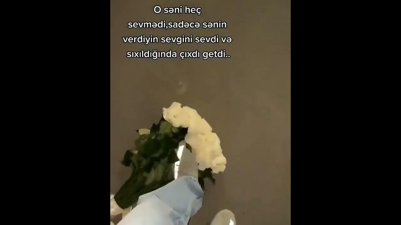 :) Status üçün video soundssapp qısa videolar Instagram videosu