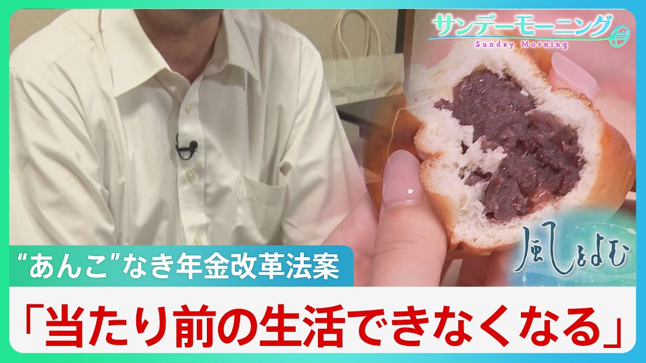 年金改革法案は「あんこが入っていないあんパン」　基礎年金の底上げ“削除”が直撃する就職氷河期世代の悲鳴【風をよむ・サンデーモーニング】| TBS NEWS DIG