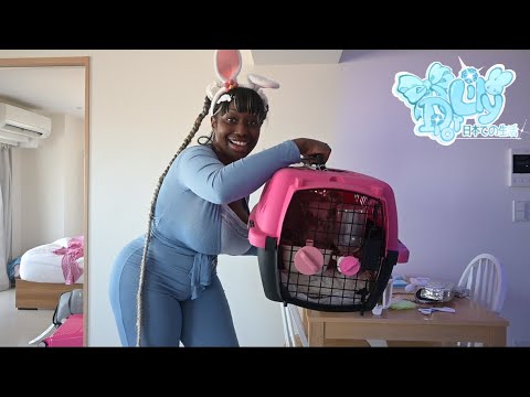 ♡ TRAVELING TO JAPAN WITH BUNNIES ♡ ウサギと一緒に日本へ旅行︱LILY DIOR